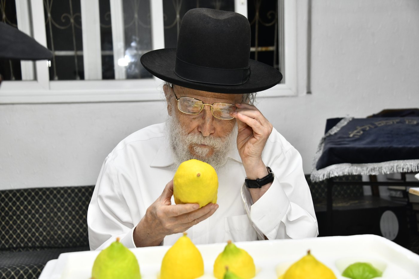 הגר"מ אלישיב בבדיקת אתרוגים