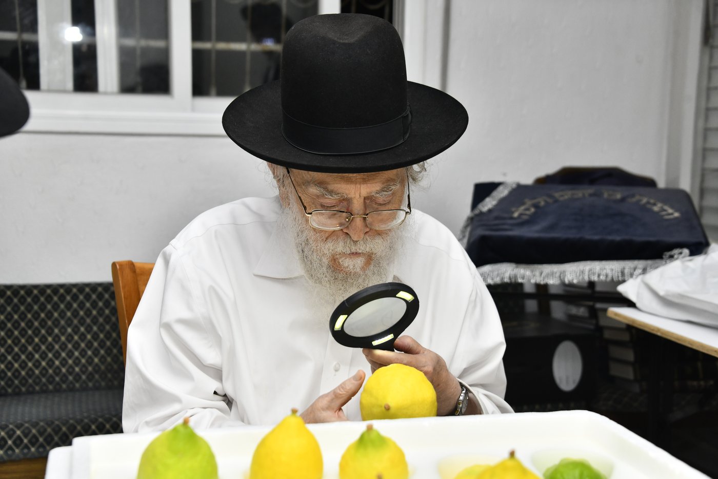 הגר"מ אלישיב בבדיקת אתרוגים