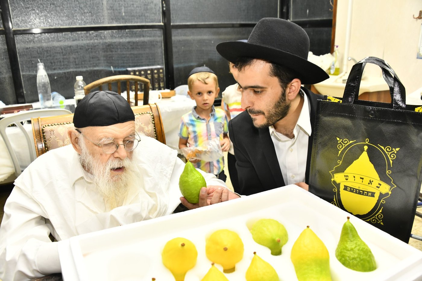 הגאון רבי מאיר גריינמן בודק אתרוג
