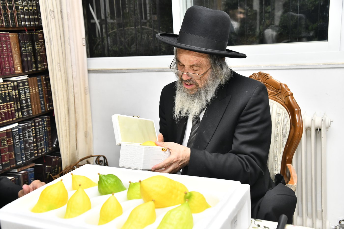 הגאון רבי דוד כהן בבדיקת אתרוגים