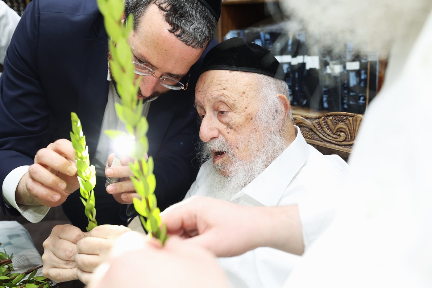 הגרב"ד פוברסקי בבחירת ד' מינים