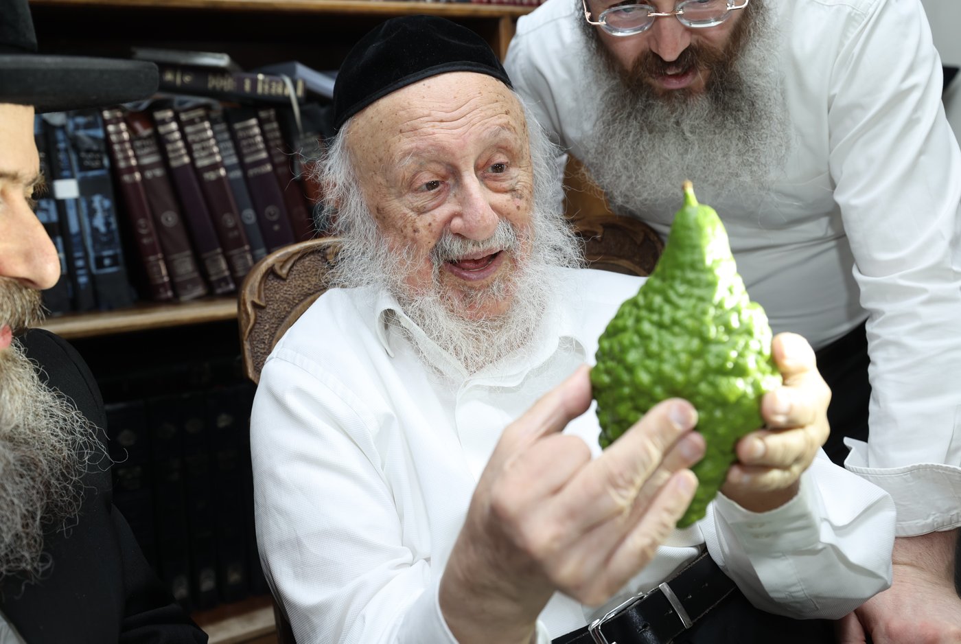 הגרב"ד פוברסקי בבחירת ד' מינים