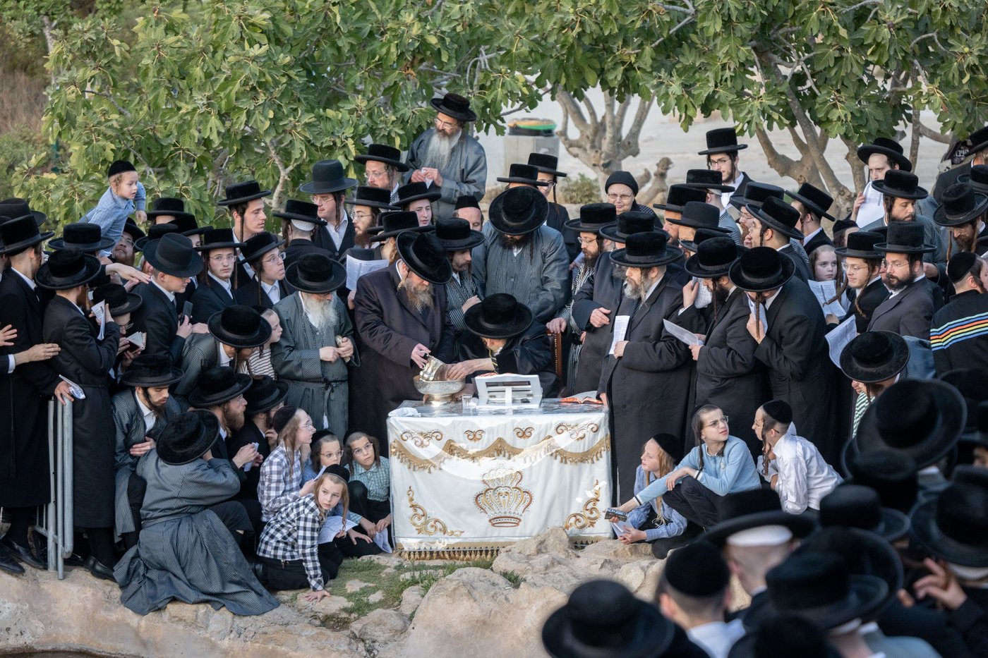 חסידי תולדות אברהם יצחק בתשליך