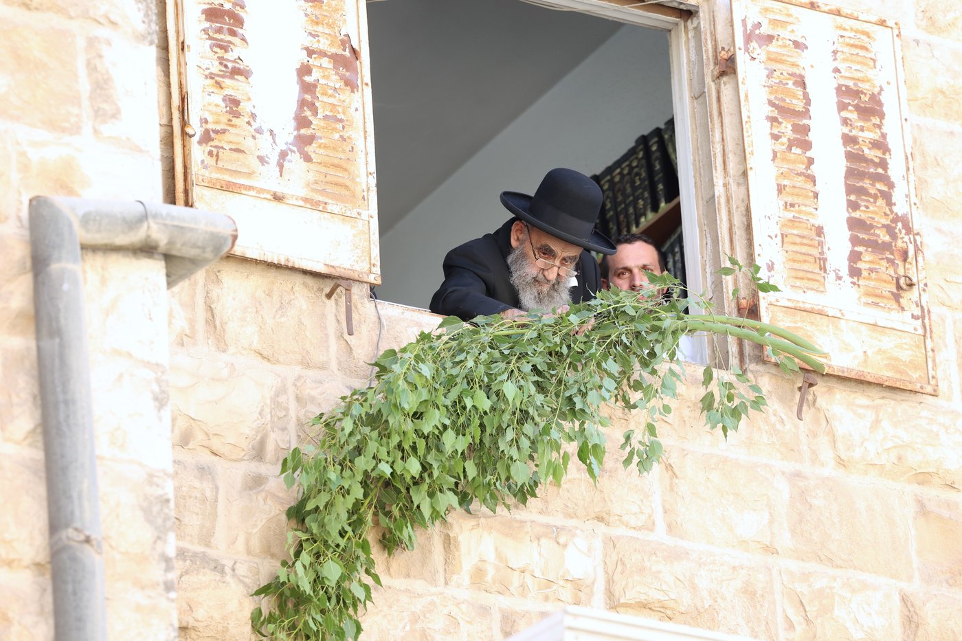 הגאון הרב משה צדקה מסכך את סוכתו