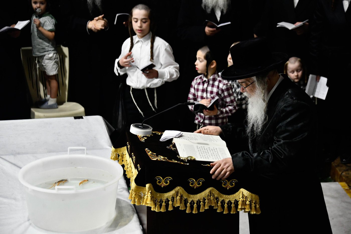 תשליך בחצה"ק דארג