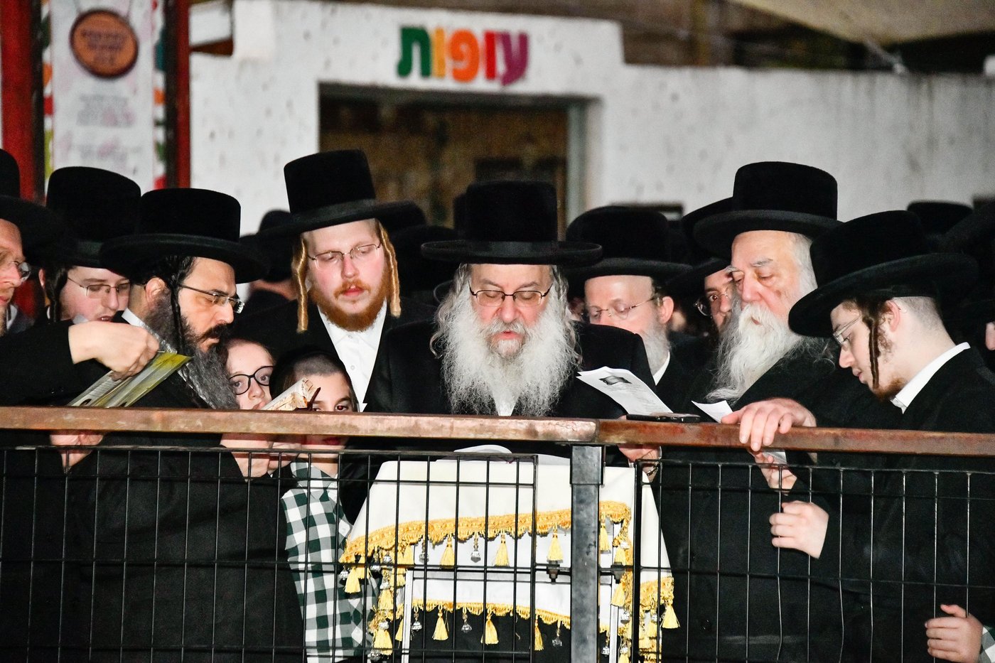 תשליך בחצה"ק נדבורנה