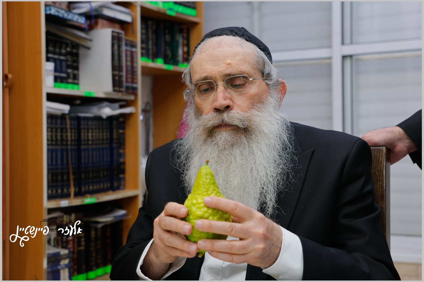 הגאון רבי שרגא שטיינמן בבדיקת אתרוגים