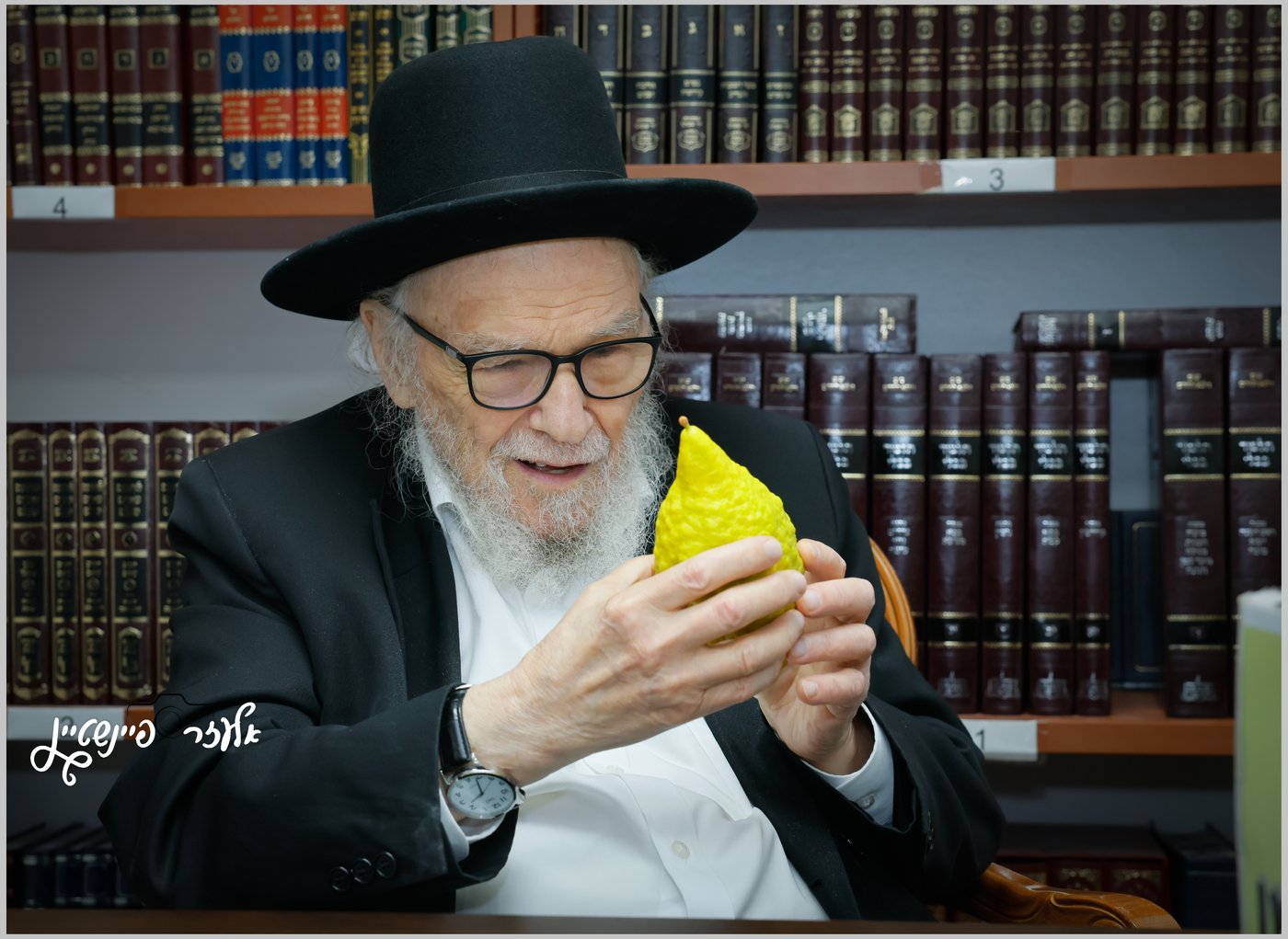 הגאון רבי משה הלל הירש בבדיקת אתרוגים