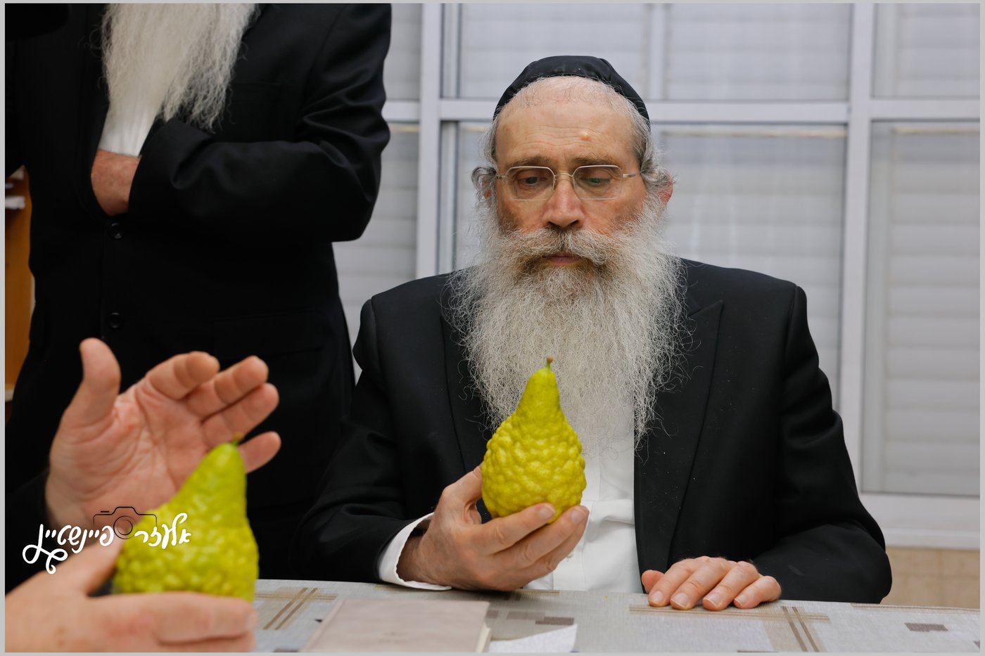 הגאון רבי שרגא שטיינמן בבדיקת אתרוגים