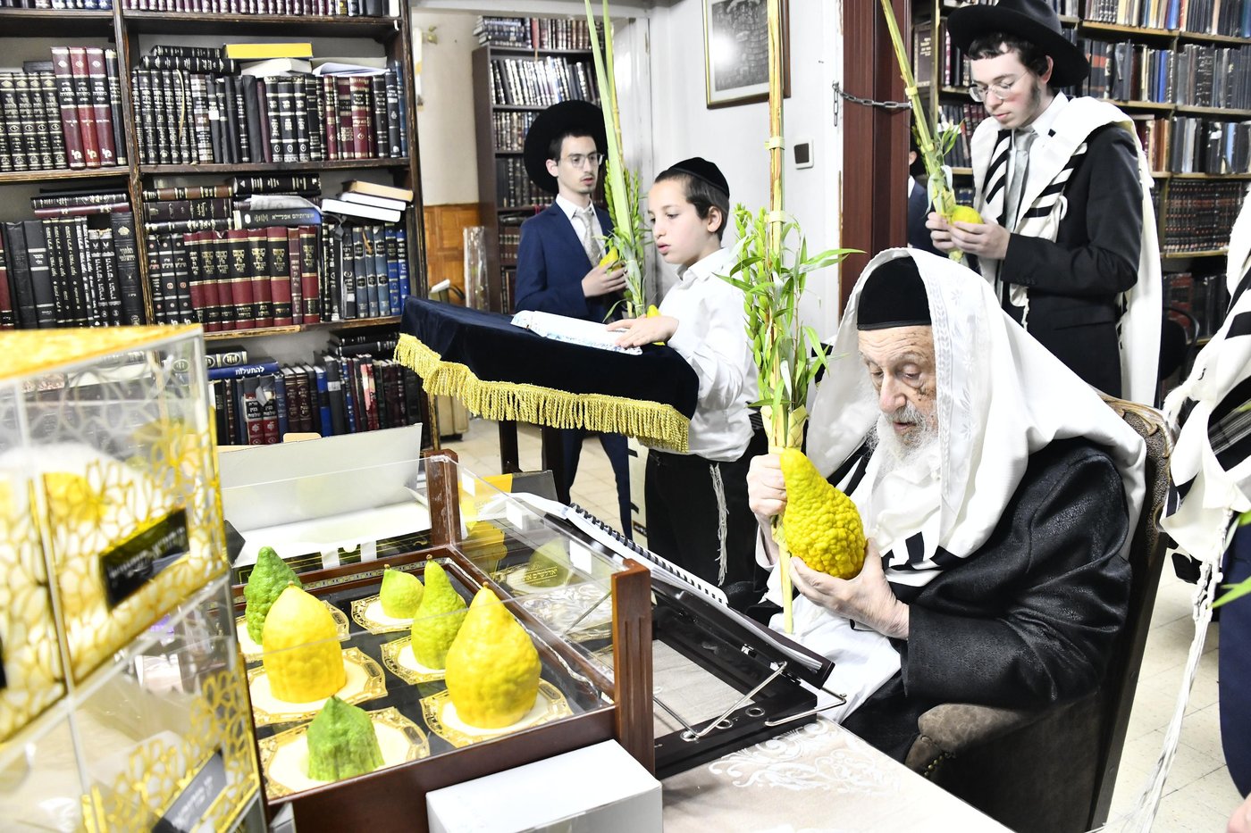 הגרב"ד פוברסקי בנטילת לולב