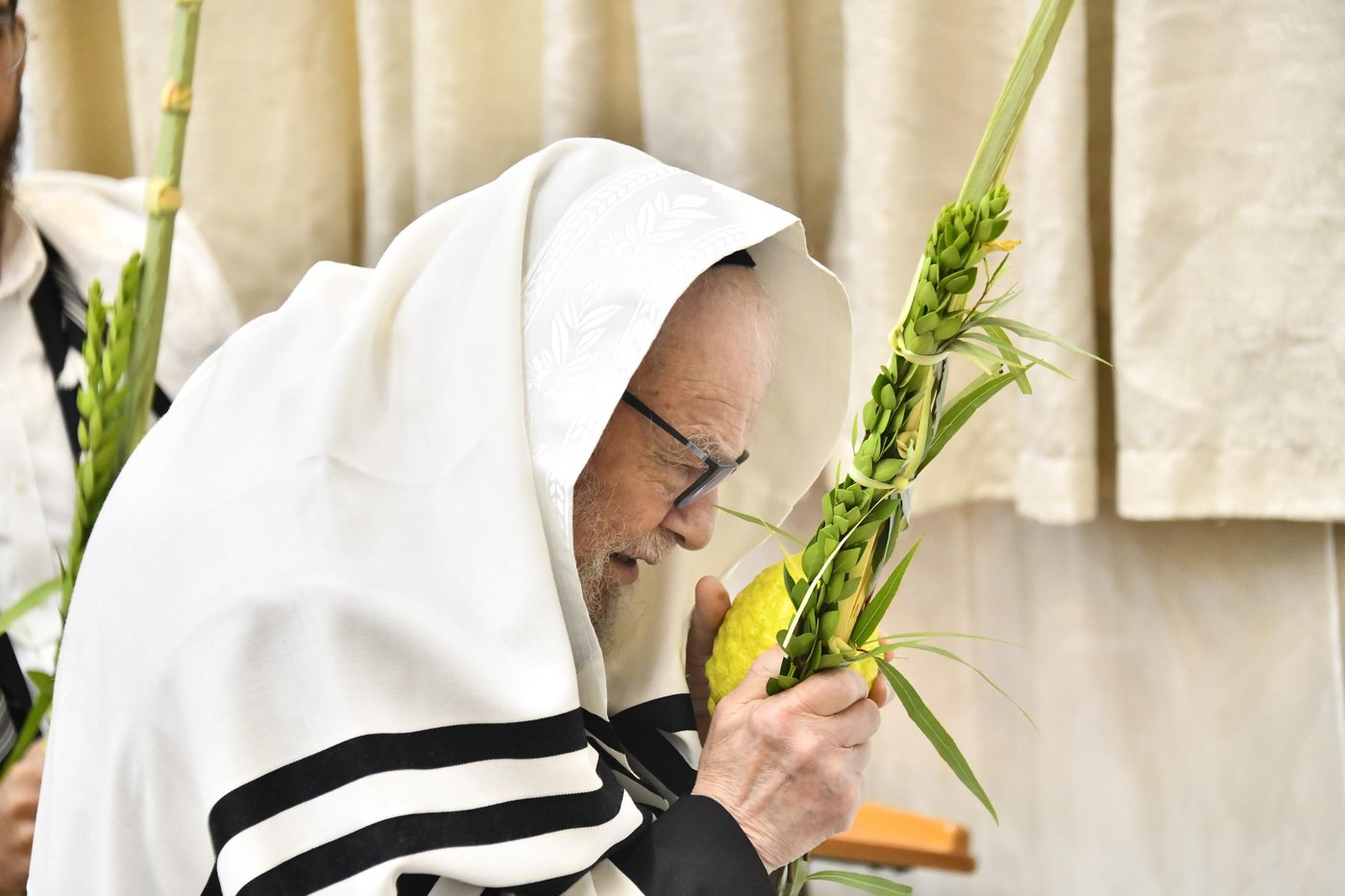 בנענועים