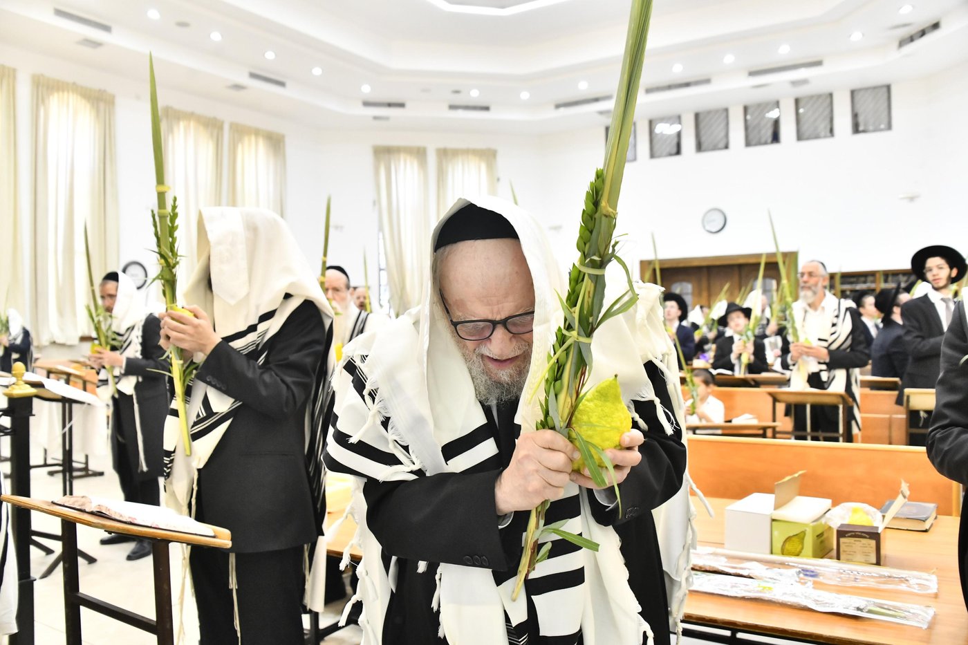 הגרמ"ה הירש בנענועים