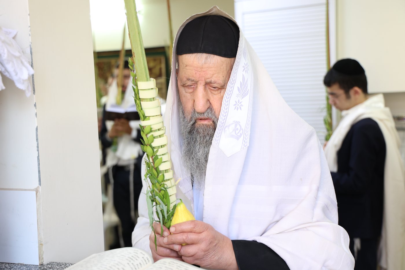גדולי ישראל הספרדים בנטילת לולב בחול המועד