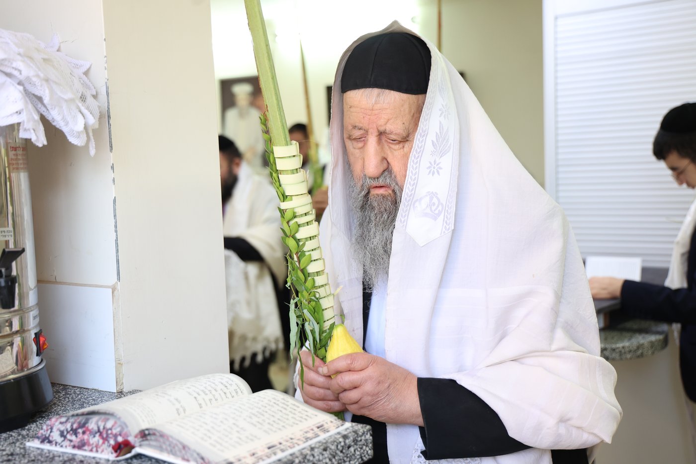 גדולי ישראל הספרדים בנטילת לולב בחול המועד