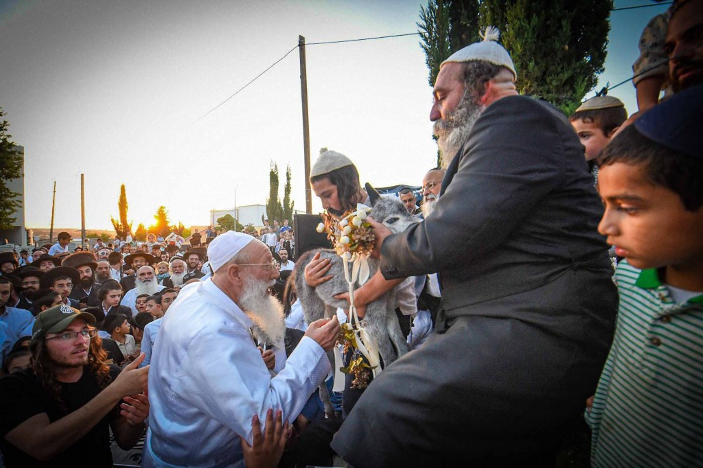 פדיון פטר חמור בעמנואל