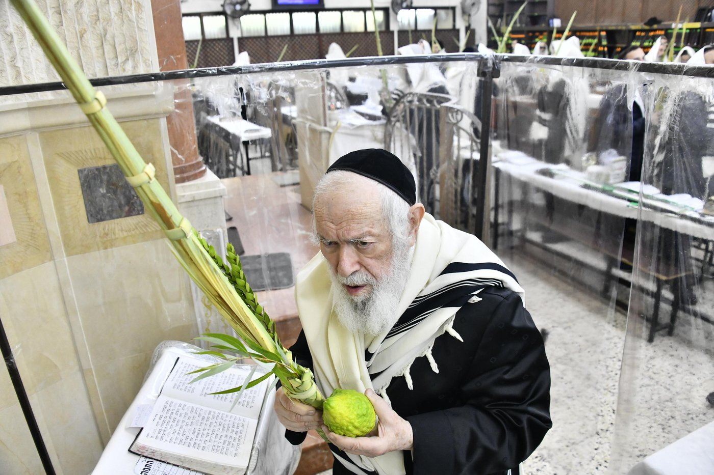 הגר"י זילברשטיין בנטילת לולב
