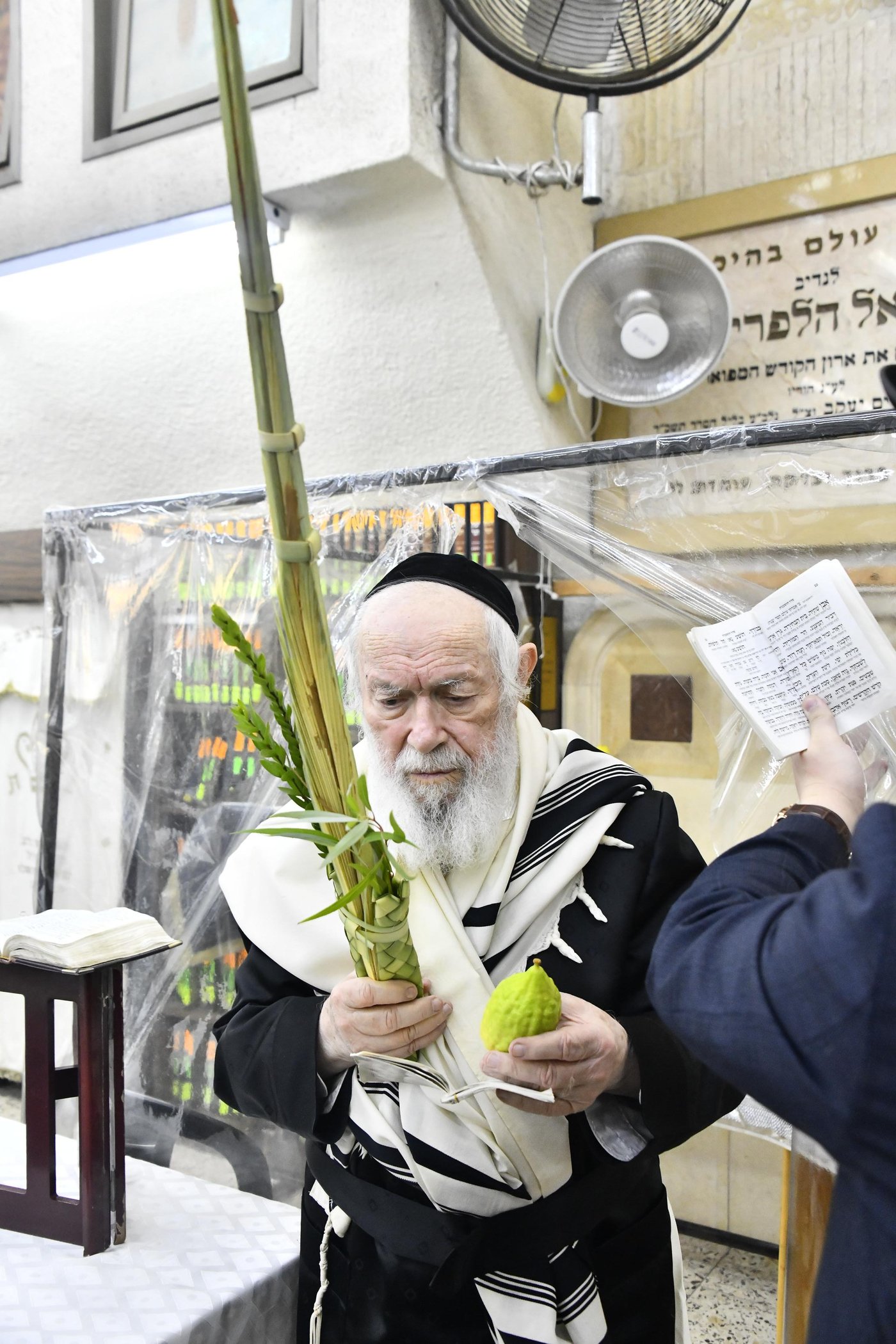 הגר"י זילברשטיין בנטילת לולב