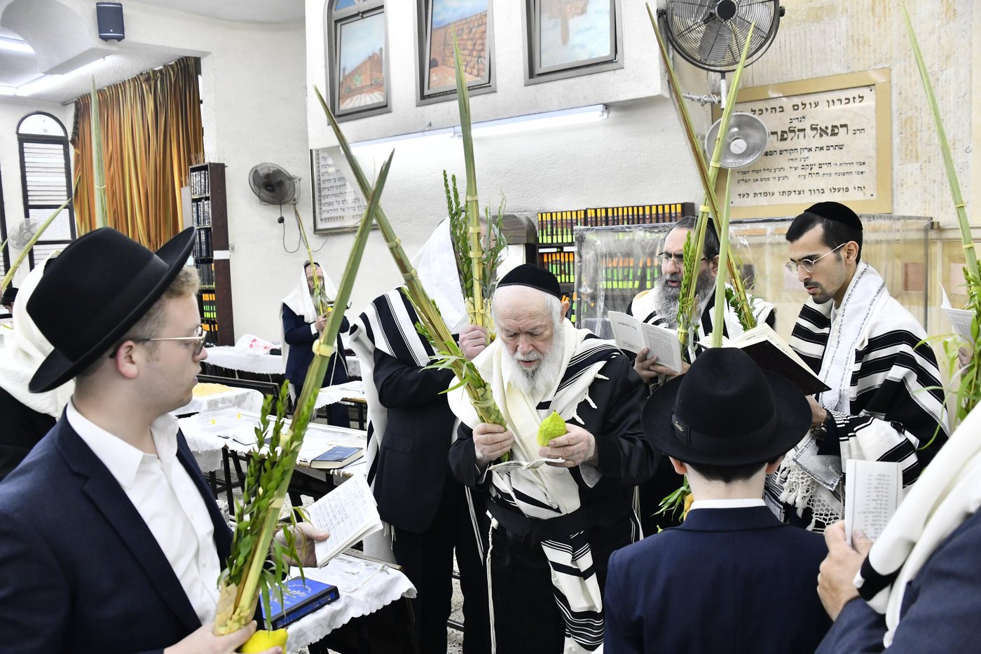 הגר"י זילברשטיין בנטילת לולב