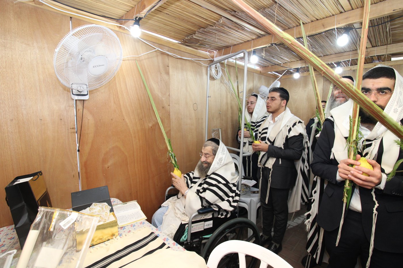 הגאון רבי מסעוד בן שמעון בנטילת לולב בבית החולים