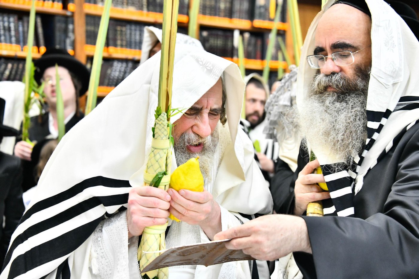 הושענא רבה בחצה"ק רחמסטריווקא