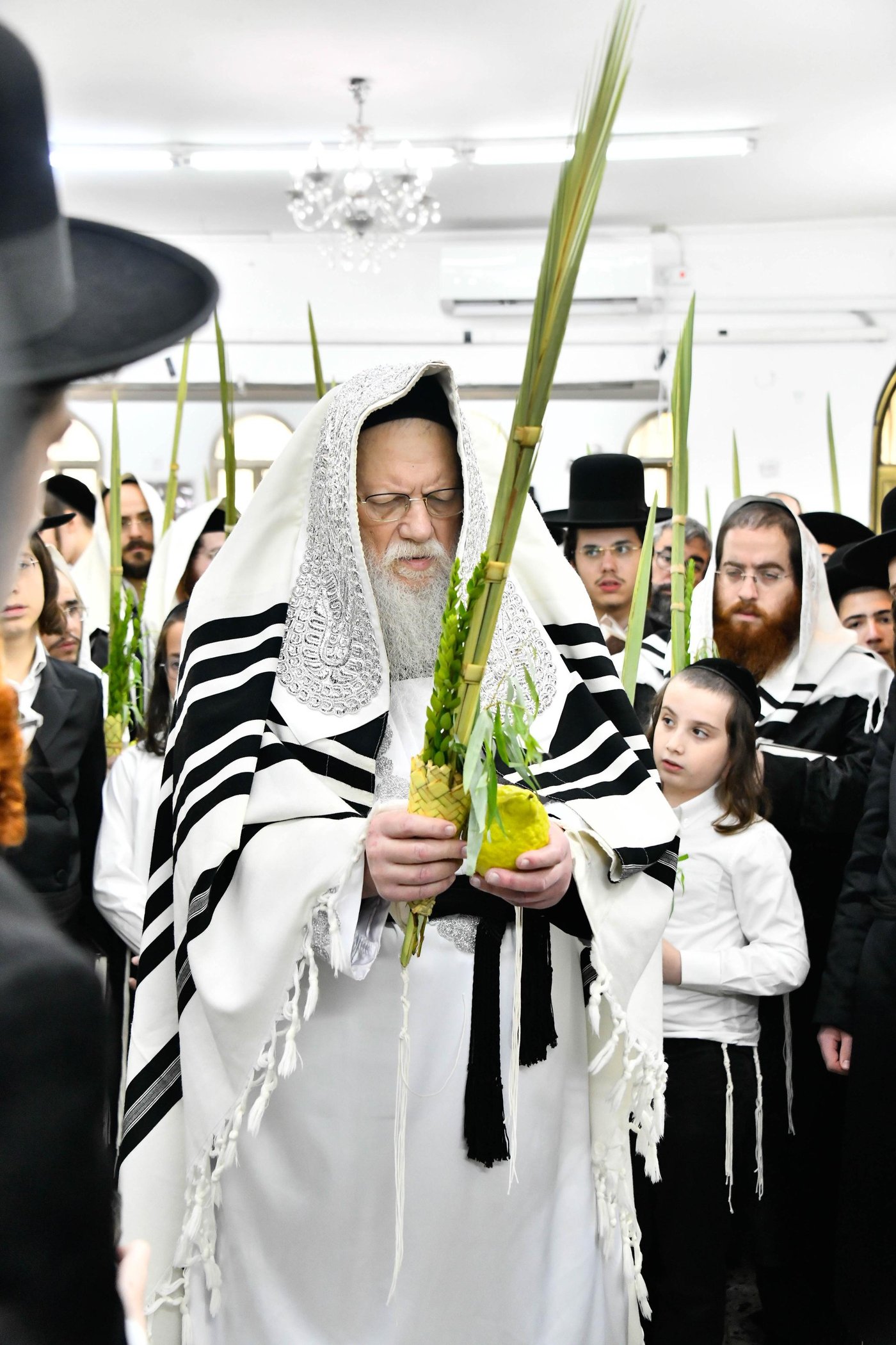 הושענא רבא בחצה"ק מודז'יץ