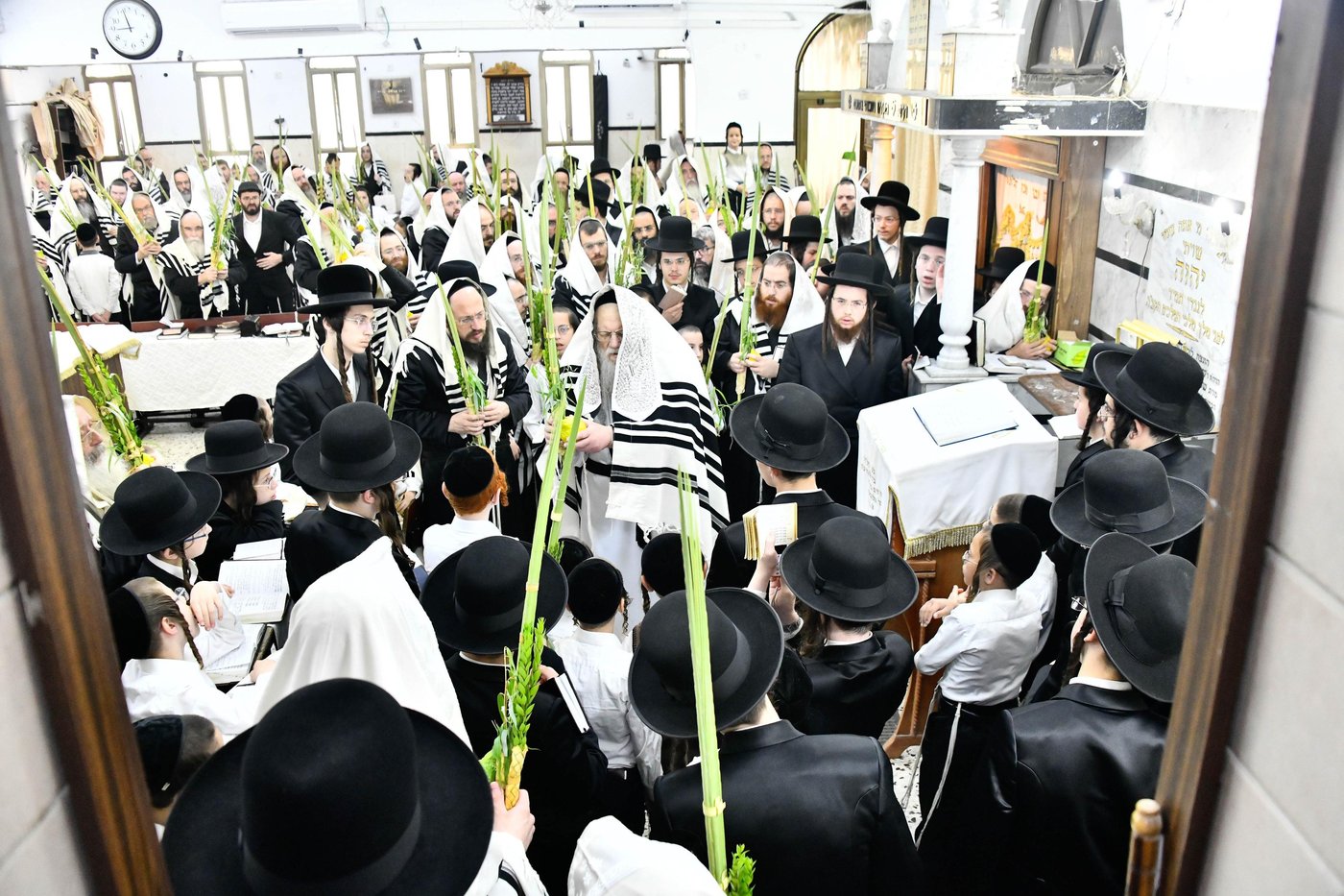 הושענא רבא בחצה"ק מודז'יץ