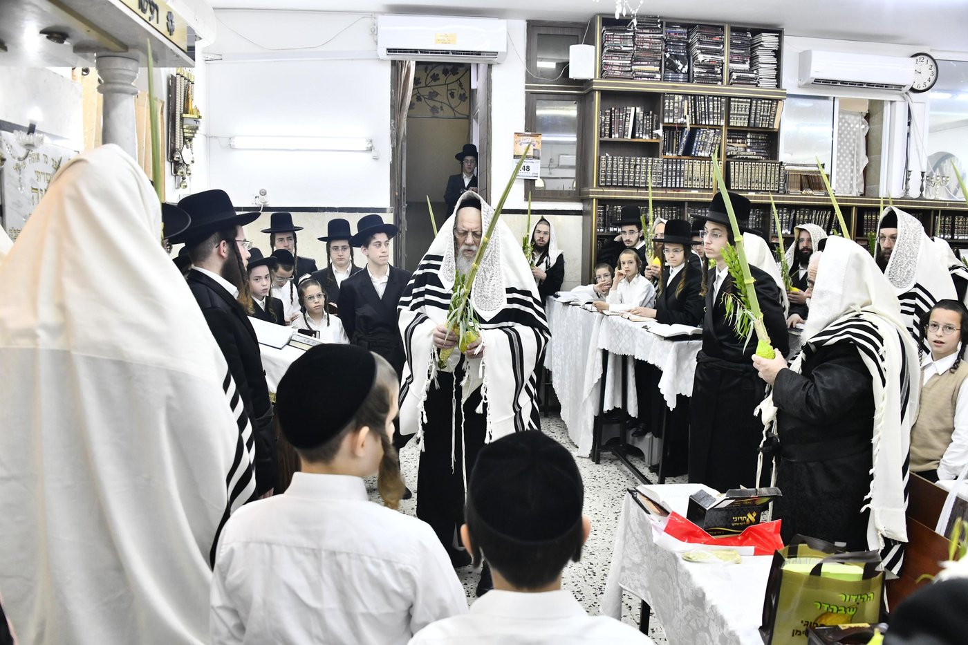 סוכות בחצה"ק מודז'יץ