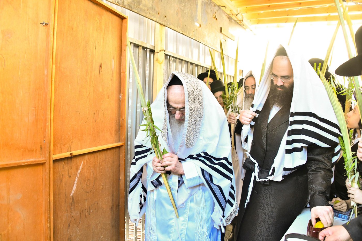 הושענא רבה בחצה"ק אלכסנדר