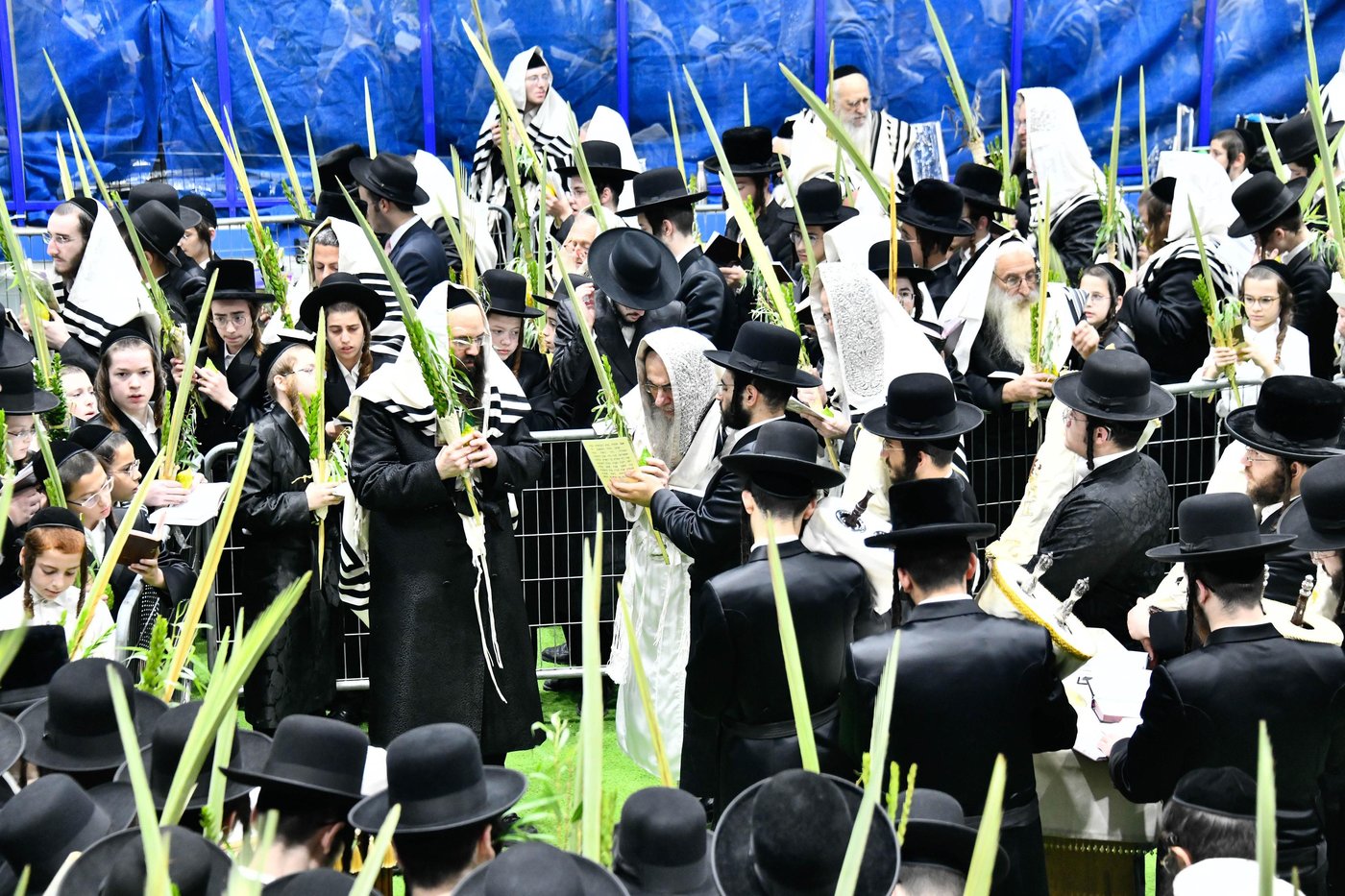 הושענא רבה בחצה"ק אלכסנדר
