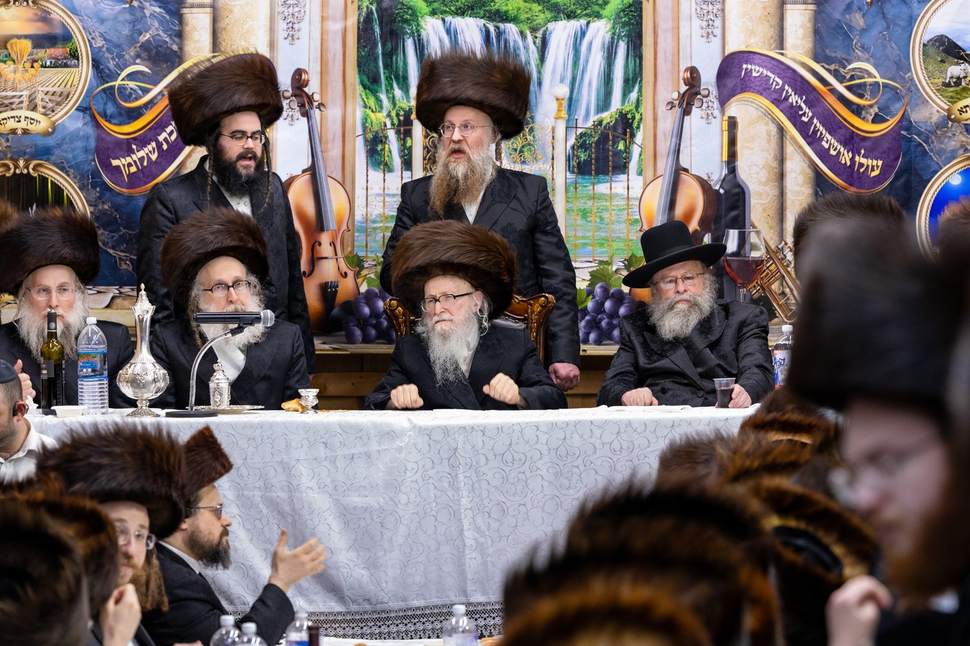 חג הסוכות בצל האדמו"ר מסערדאהעלי 