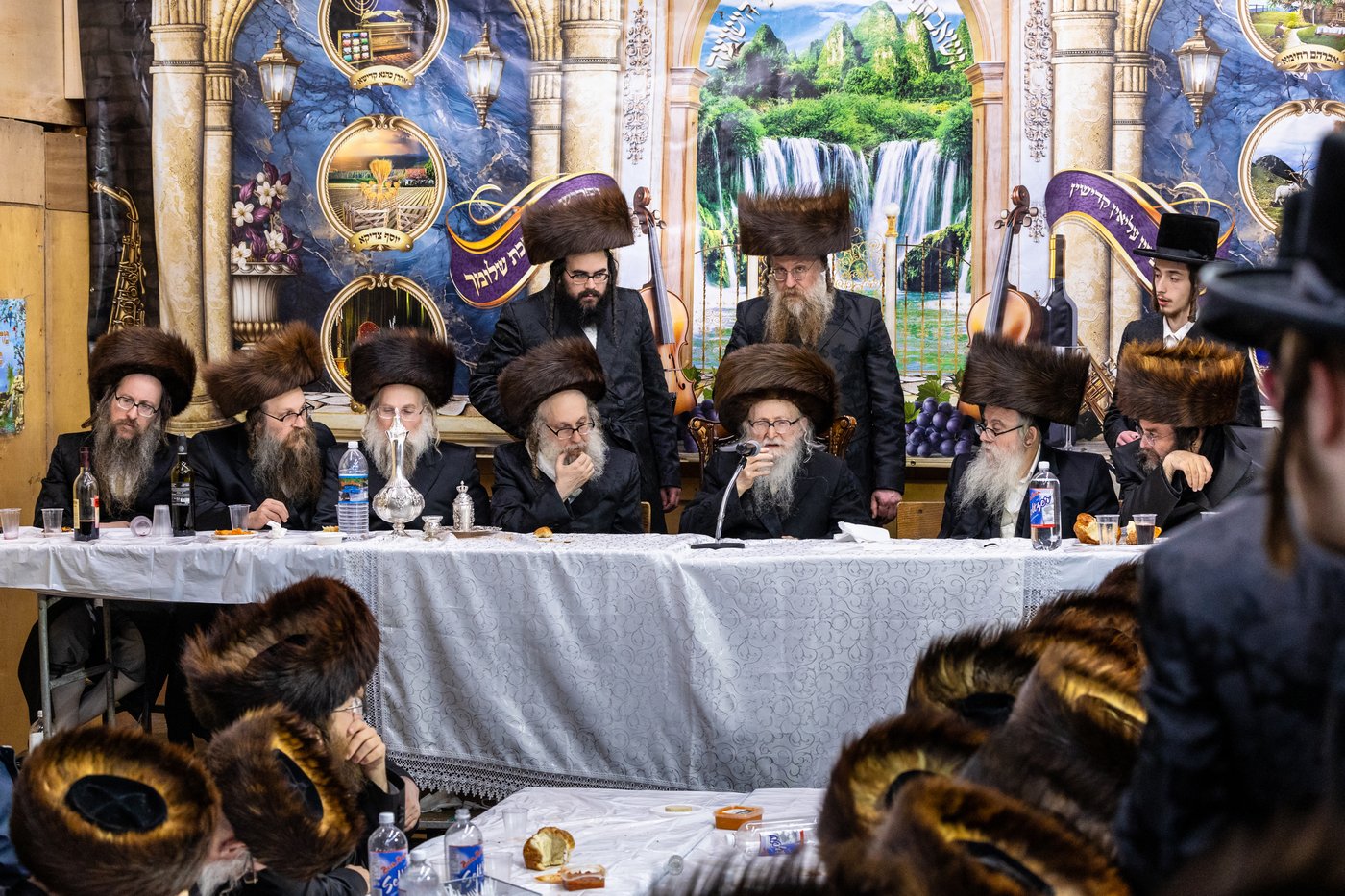 חג הסוכות בצל האדמו"ר מסערדאהעלי 