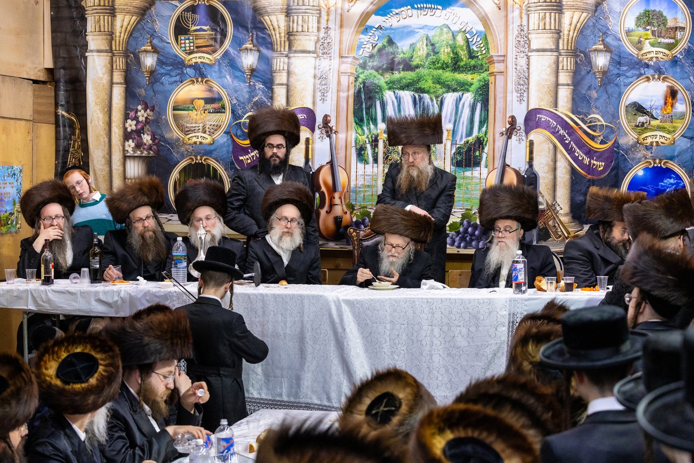 חג הסוכות בצל האדמו"ר מסערדאהעלי 