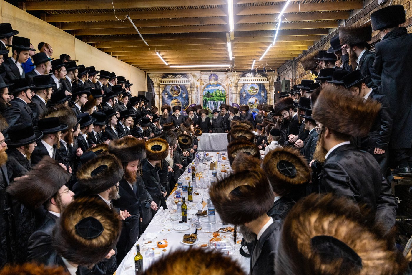 חג הסוכות בצל האדמו"ר מסערדאהעלי 