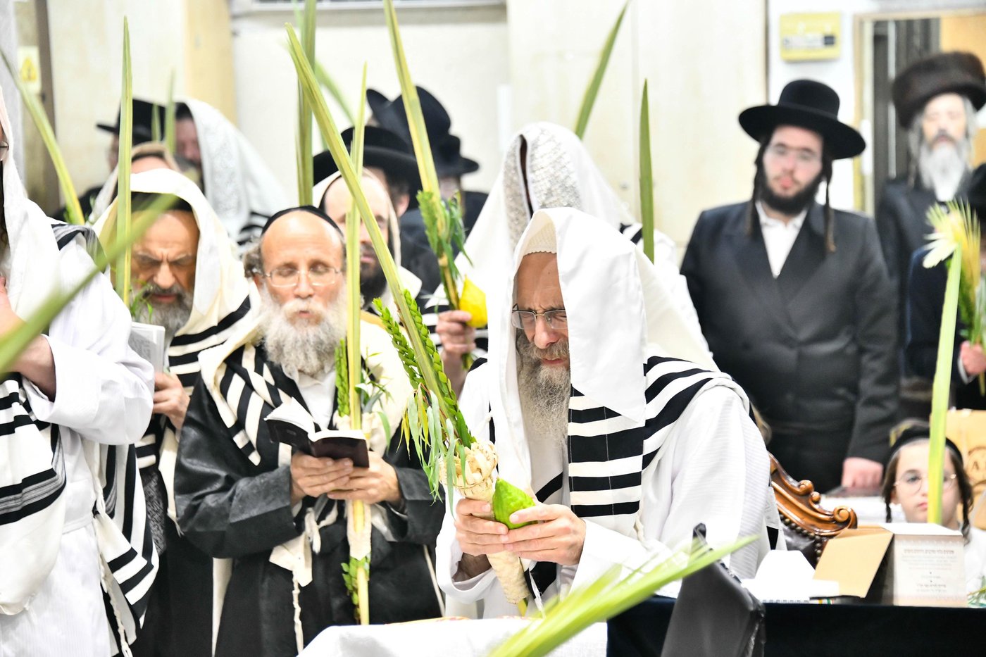 הושענא רבה אצל הגה"צ רבי אלימלך בידרמן