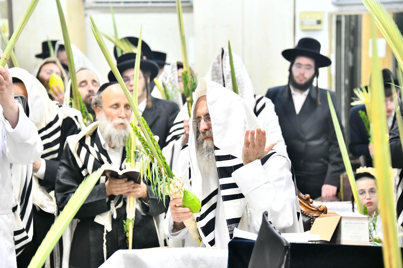 הושענא רבה אצל הגה"צ רבי אלימלך בידרמן