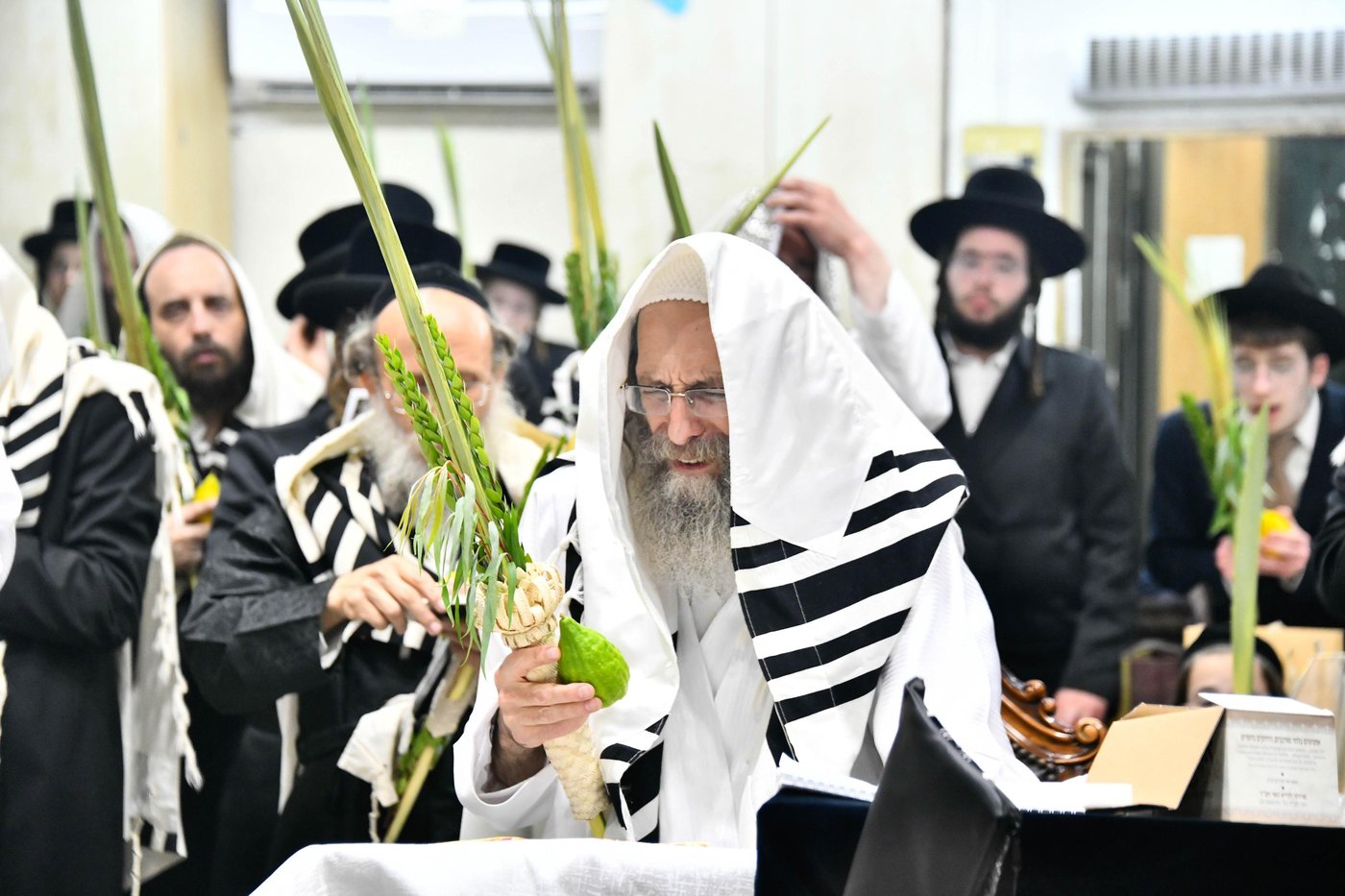 הושענא רבה אצל הגה"צ רבי אלימלך בידרמן