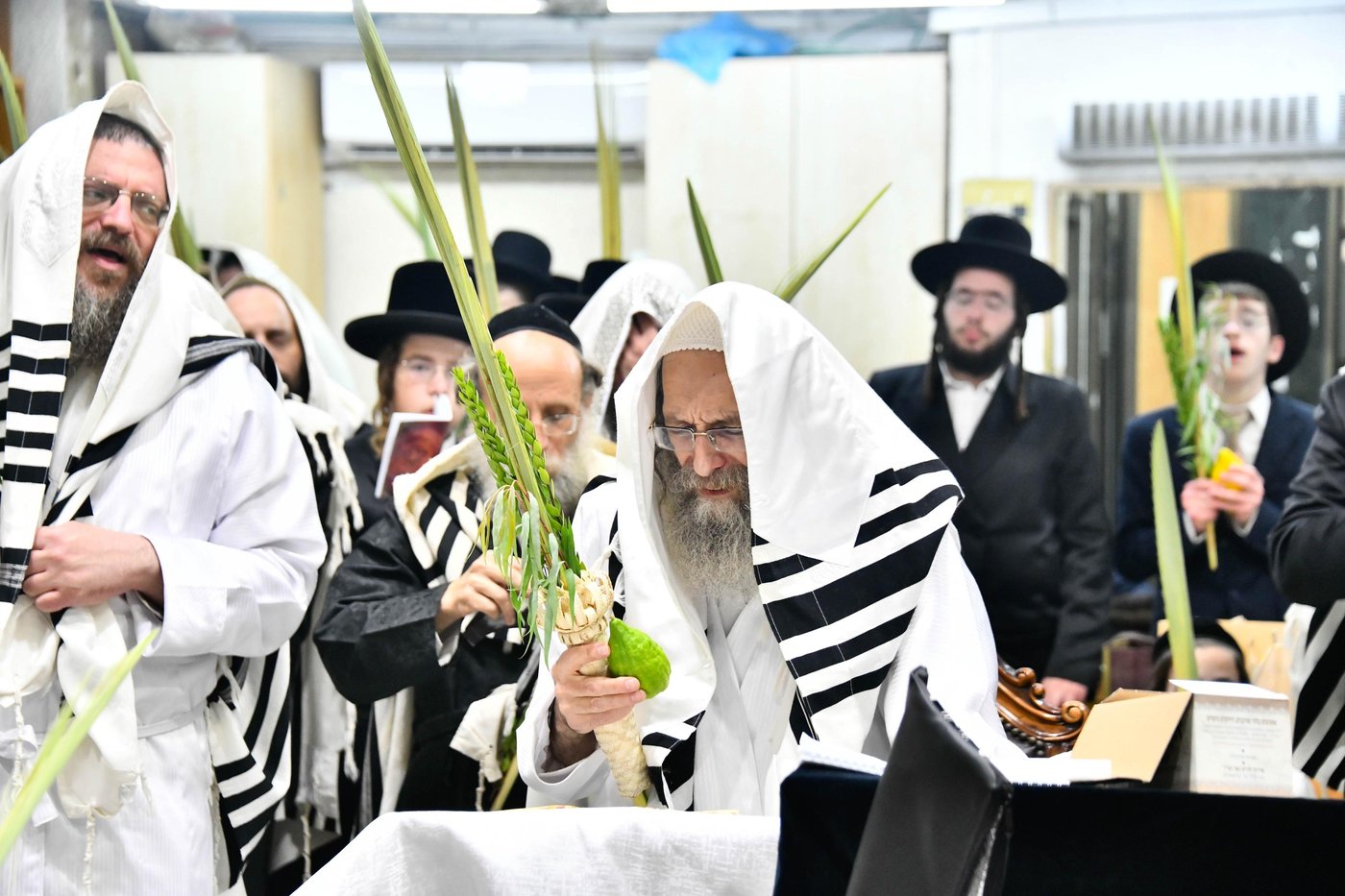הושענא רבה אצל הגה"צ רבי אלימלך בידרמן