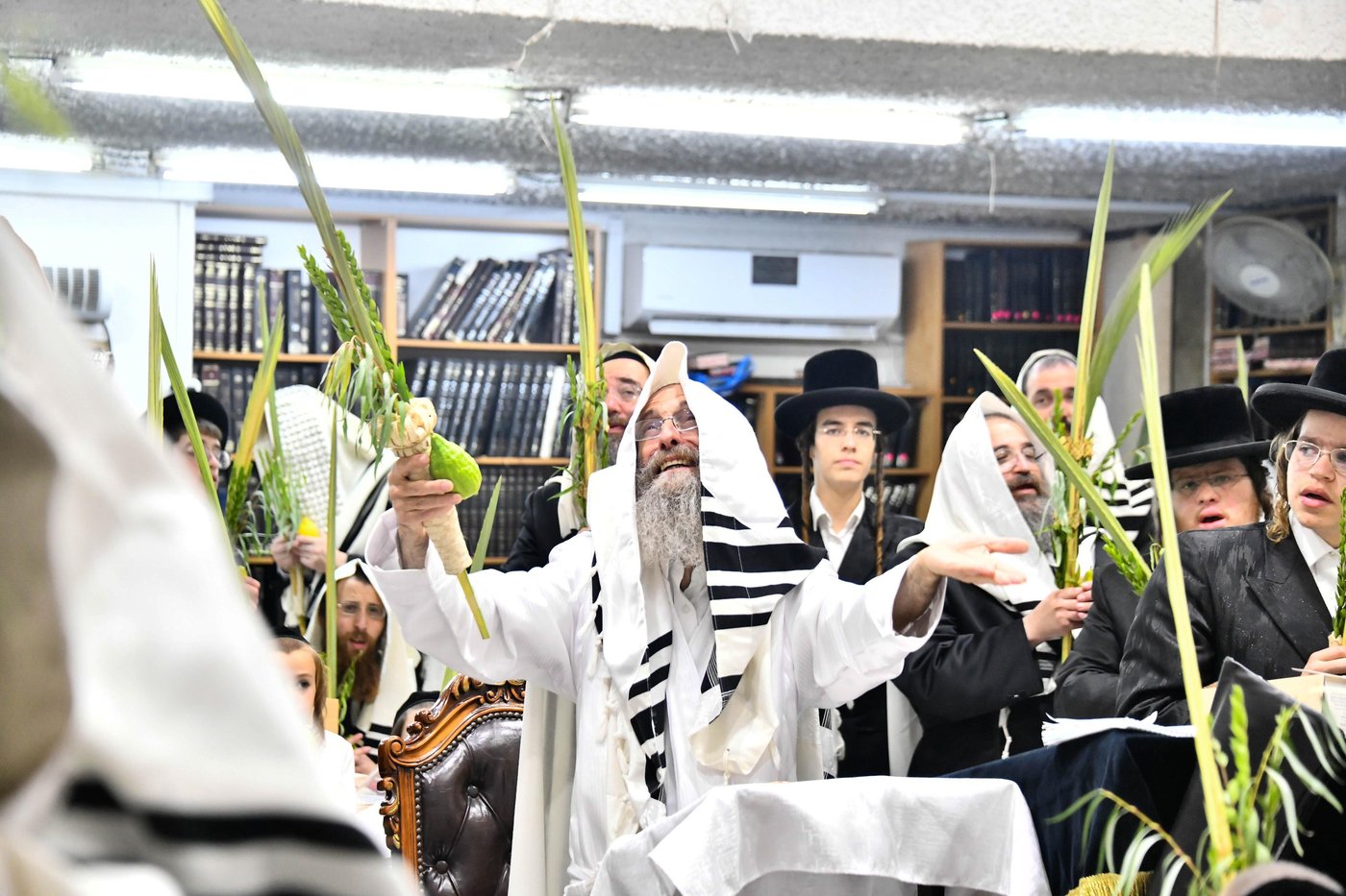 הושענא רבה אצל הגה"צ רבי אלימלך בידרמן