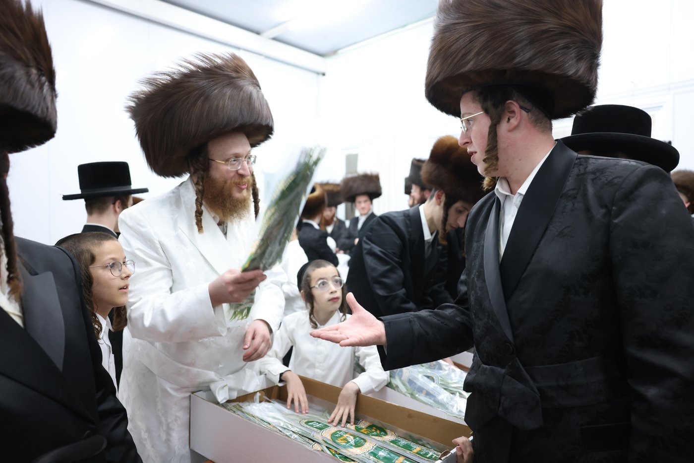 סוכות בחצר ספינקא בית שמש