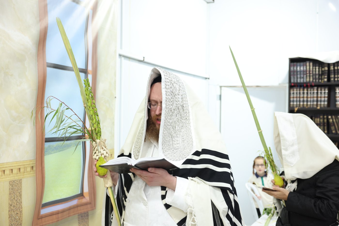 סוכות בחצר ספינקא בית שמש
