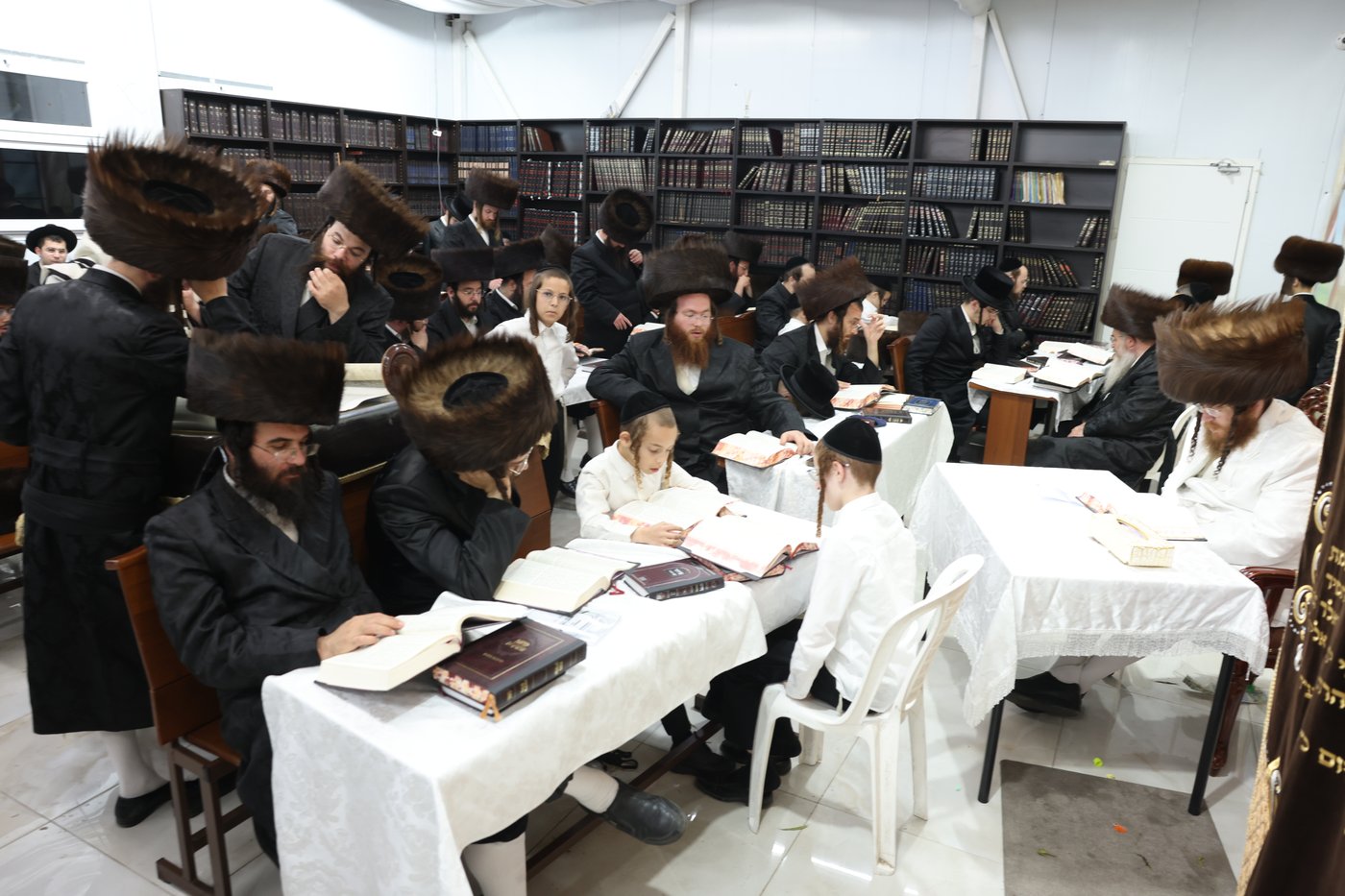 סוכות בחצר ספינקא בית שמש