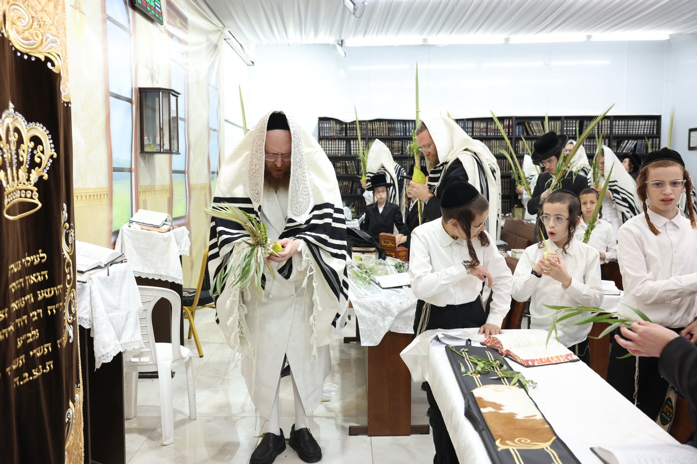 סוכות בחצר ספינקא בית שמש