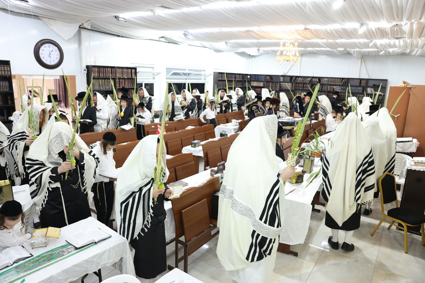 סוכות בחצר ספינקא בית שמש