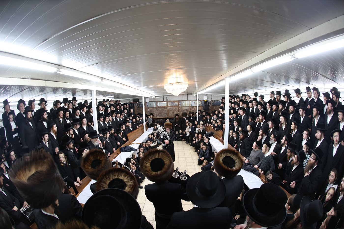 הכנסת ספר תורה לביהמ"ד סקולען בעיה"ק ירושלים 