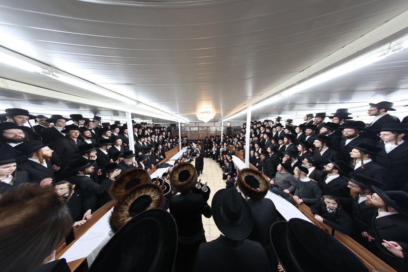 הכנסת ספר תורה לביהמ"ד סקולען בעיה"ק ירושלים