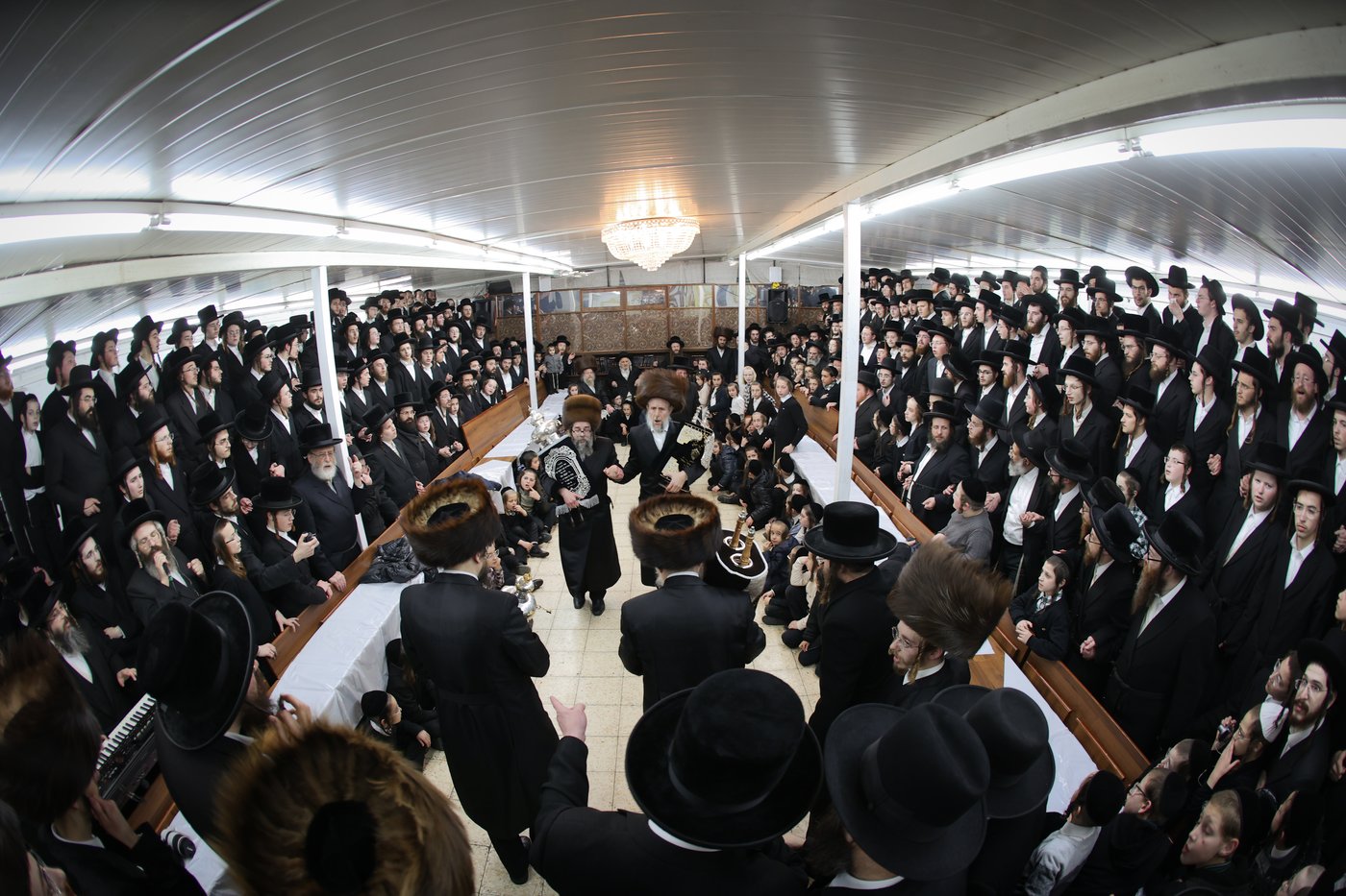 הכנסת ספר תורה לביהמ"ד סקולען בעיה"ק ירושלים