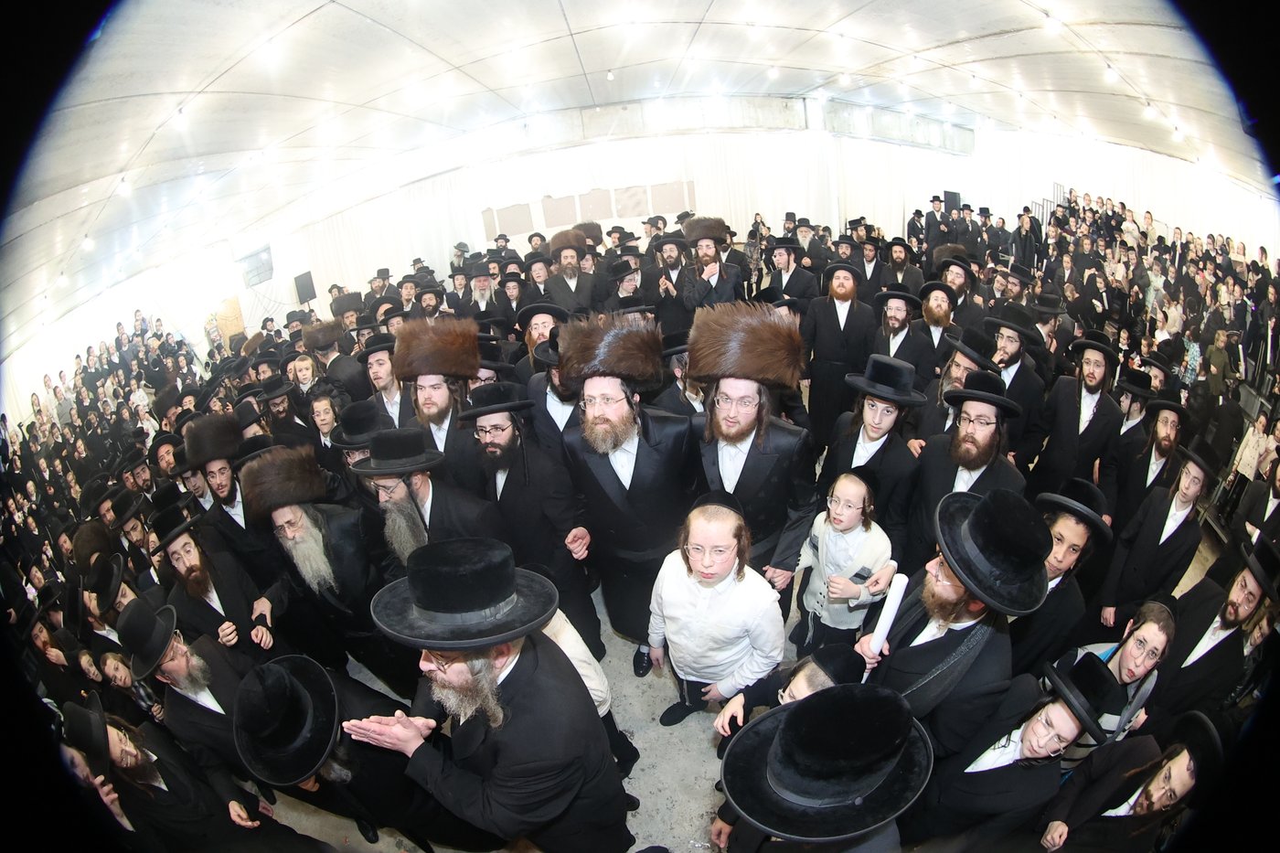 הכנסת ס"ת לע"נ האברך ר' מרדכי יואל פעקעטע זצ"ל
