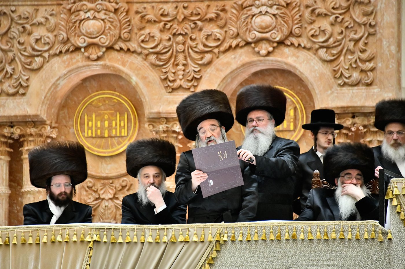 שמחת בית ויז'ניץ