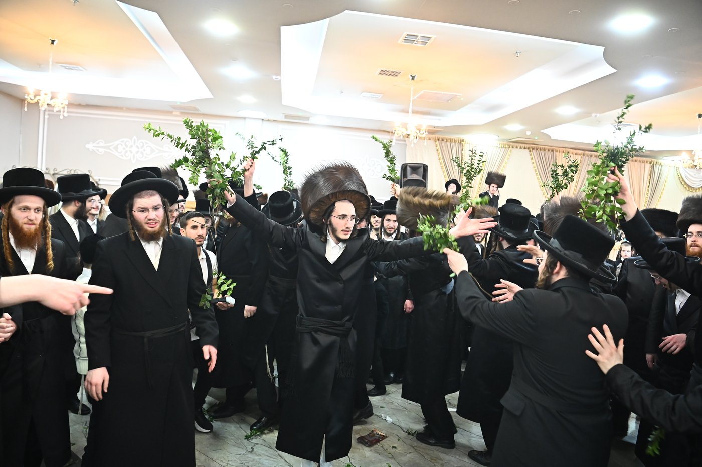 שמחת בית סטריקוב - מאור החיים