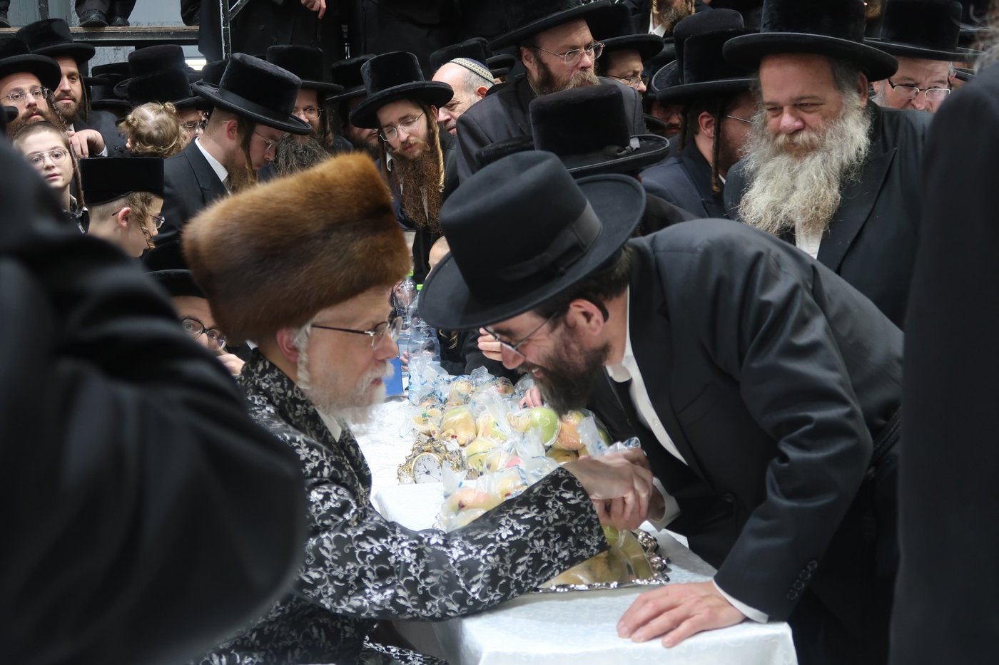 האדמו"ר מסערט ויז'ניץ בטיש ט"ו בשבט